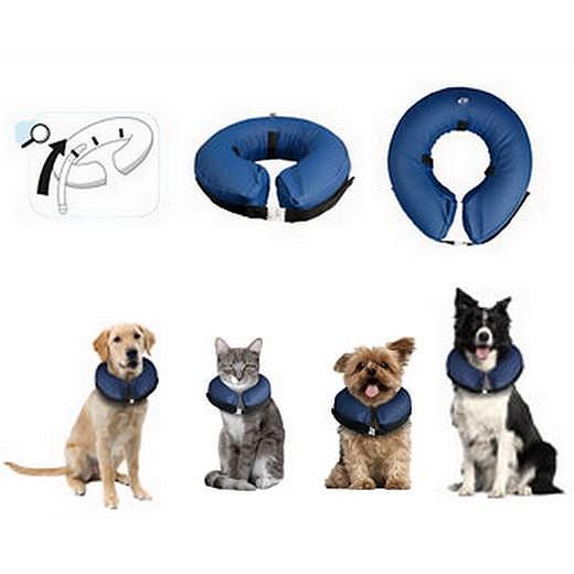 Panier pour chien petite taille : la boutique de Lucien