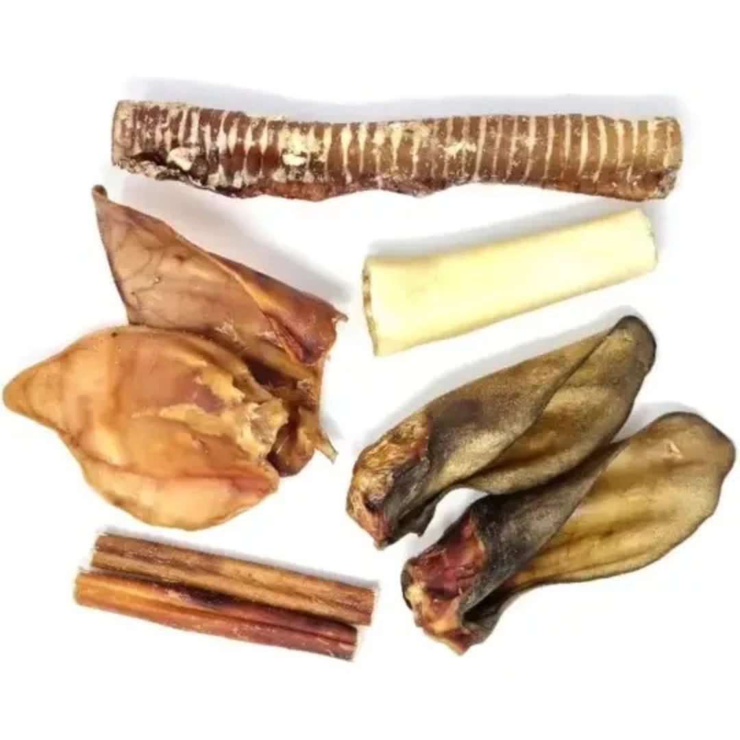 Meilleurs prix pour Pack mastication super résistante