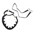 Collier PRO TRAINING - Starmark - image 4