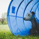 Tunnel Agility Garden en PVC - Rosewood - image 2