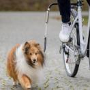 Kit Biker Forme L