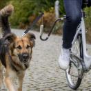 Kit Biker Forme U