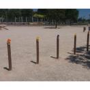 Slalom - CaniParc - image 2