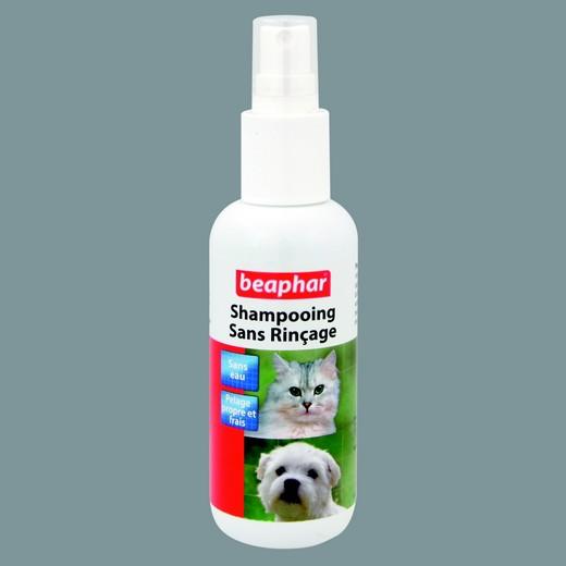 Shampooing lotion sans rincage pour chien et chat
