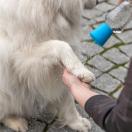 Douche mobile pour chiens - image 3