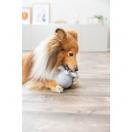 Friandise poulpe - image 4