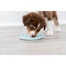 Assiette  lcher Junior - image 4