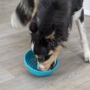 Bol  lcher LicknSnack - image 3