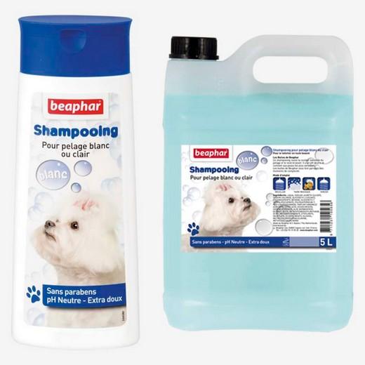 Shampooing pour chien à pelage blanc