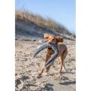 Anguille Karl - BE NORDIC - image 5