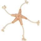 toile de mer Jane - BE NORDIC