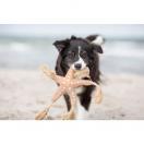 toile de mer Jane - BE NORDIC - image 5