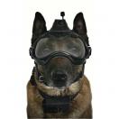 Camra embarqu ARGOS K9