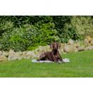 Matelas Rafrachissant Soft - image 6