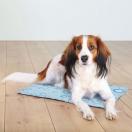 Matelas Rafrachissant - Bleu clair - image 6