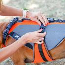 Harnais pour chien multifonctionnelle - Julius K9 - image 3