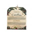 Canettone Gastronomico Saumon  Collection Nol - image 5