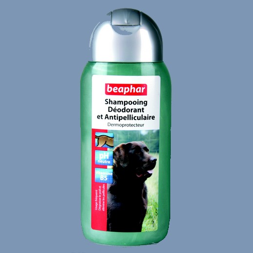 Shampoing antipelliculaire pour chien