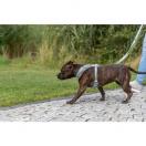 Harnais Premium FlexMesh  Coupe Large - image 2