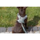 Harnais Premium FlexMesh  Coupe Large - image 3