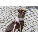 Harnais Premium FlexMesh  Coupe Large - image 2