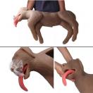 Mannequin Canin de RCR �CooPeR� - image 3