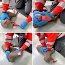 Mannequin Canin de RCR �CooPeR� - image 4