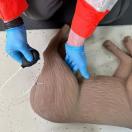 Mannequin Canin de RCR �CooPeR� - image 5