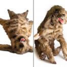 Chien "Rocky"  Mannequin de positionnement - image 4