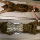 Chien "Rocky"  Mannequin de positionnement - image 6