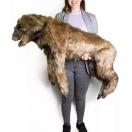 Chien "Rocky"  Mannequin de positionnement - image 7