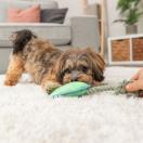 Patte sur corde - image 3