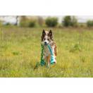 Cordon �lastique pour tracter - image 3