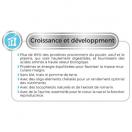 Select Kitten � Poulet & Riz - image 5