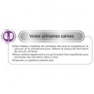 Select Cat Adult - image 4