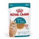 Sachet Royal Canin Ageing 11+