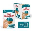 Sachet Royal Canin Ageing 11+ - image 2
