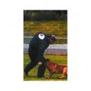 Costume semi-entrainemet MORIN - ESSENTIAL - image 2