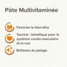 P�te Multivitamin�e Beaphar - image 3
