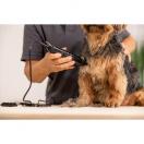 Tondeuse Moser - Kit de toilettage de base - image 6