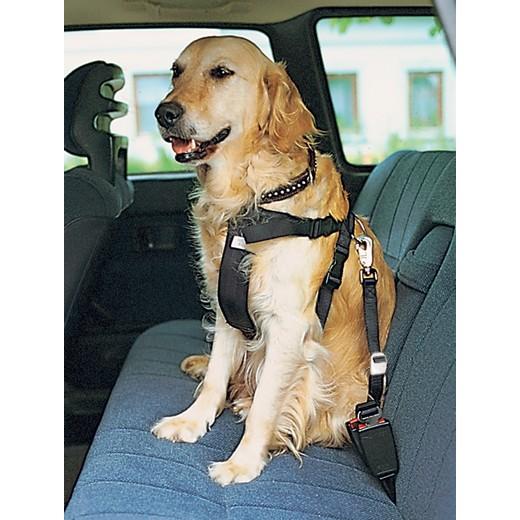 Ceinture de Sécurité pour Chien Voiture,Ceinture de sécurité pour