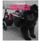 Chariot pour chiens  mobilit rduite