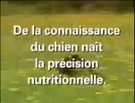 Royal Canin spécial Berger Allemand vidéo_1