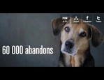 Campagne contre l'abandon