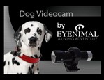 Dog Videocam