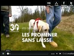 Promener son chien sans laisse. vidéo_1