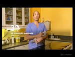 L'arrivé d'un chaton vidéo_1