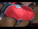 Webmaster PRO - RuffWear vidéo_1