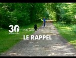 Le rappel chez le chien