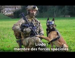 K9 Vision System - Le monde de Jamy